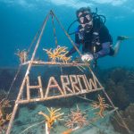 AM-article-AA-magazine-Building Bridges for Marine Conservation: A Harrow Bangkok & Global Reef Partnership - featured image