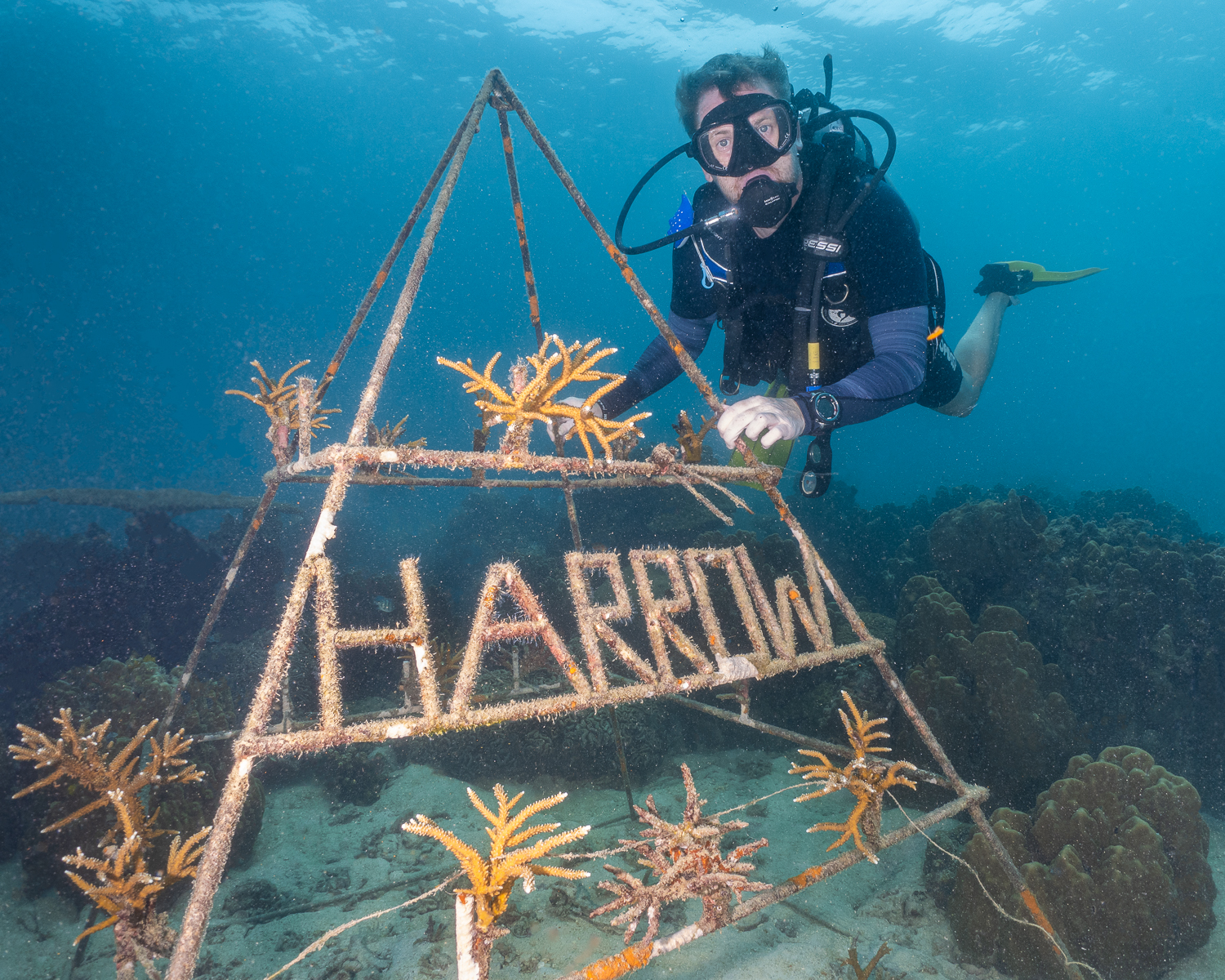 AM-article-AA-magazine-Building Bridges for Marine Conservation: A Harrow Bangkok & Global Reef Partnership - featured image