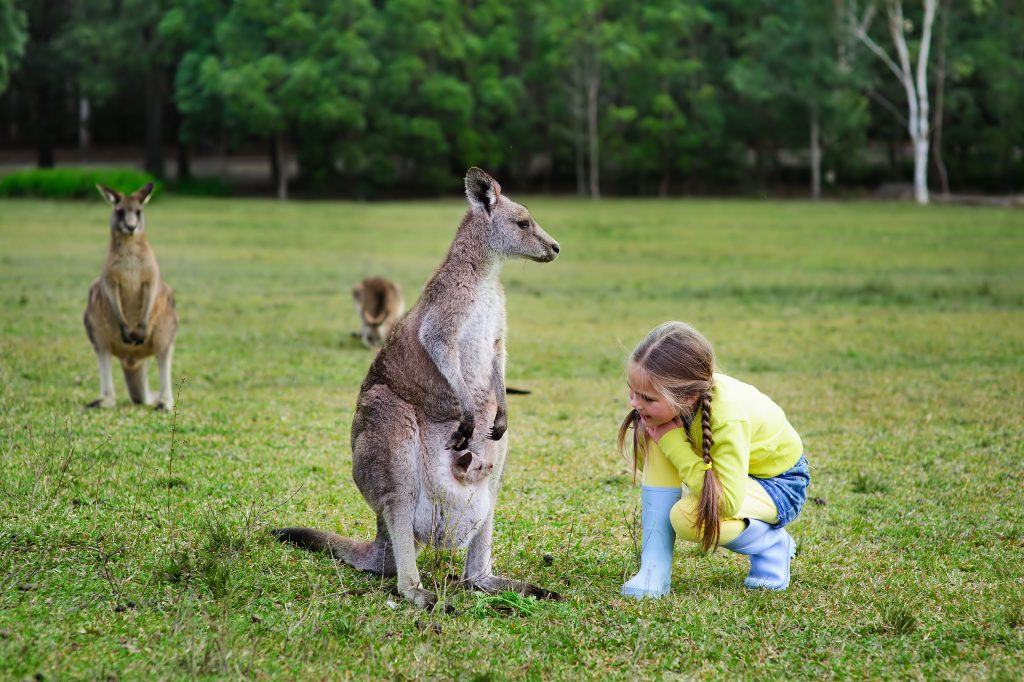 AA-Magazine-AM-article-Nurturing Hearts and Minds: What Research Teaches Us About Compassion in Children - featured image