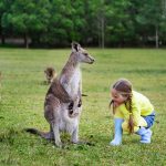 AA-Magazine-AM-article-Nurturing Hearts and Minds: What Research Teaches Us About Compassion in Children - featured image
