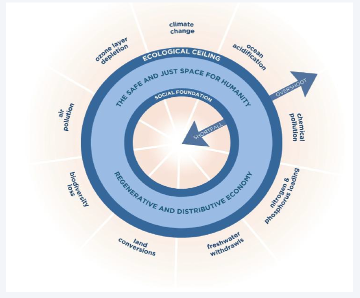 AA-magazine-AM-article-Education in the Anthropocene - body image 1