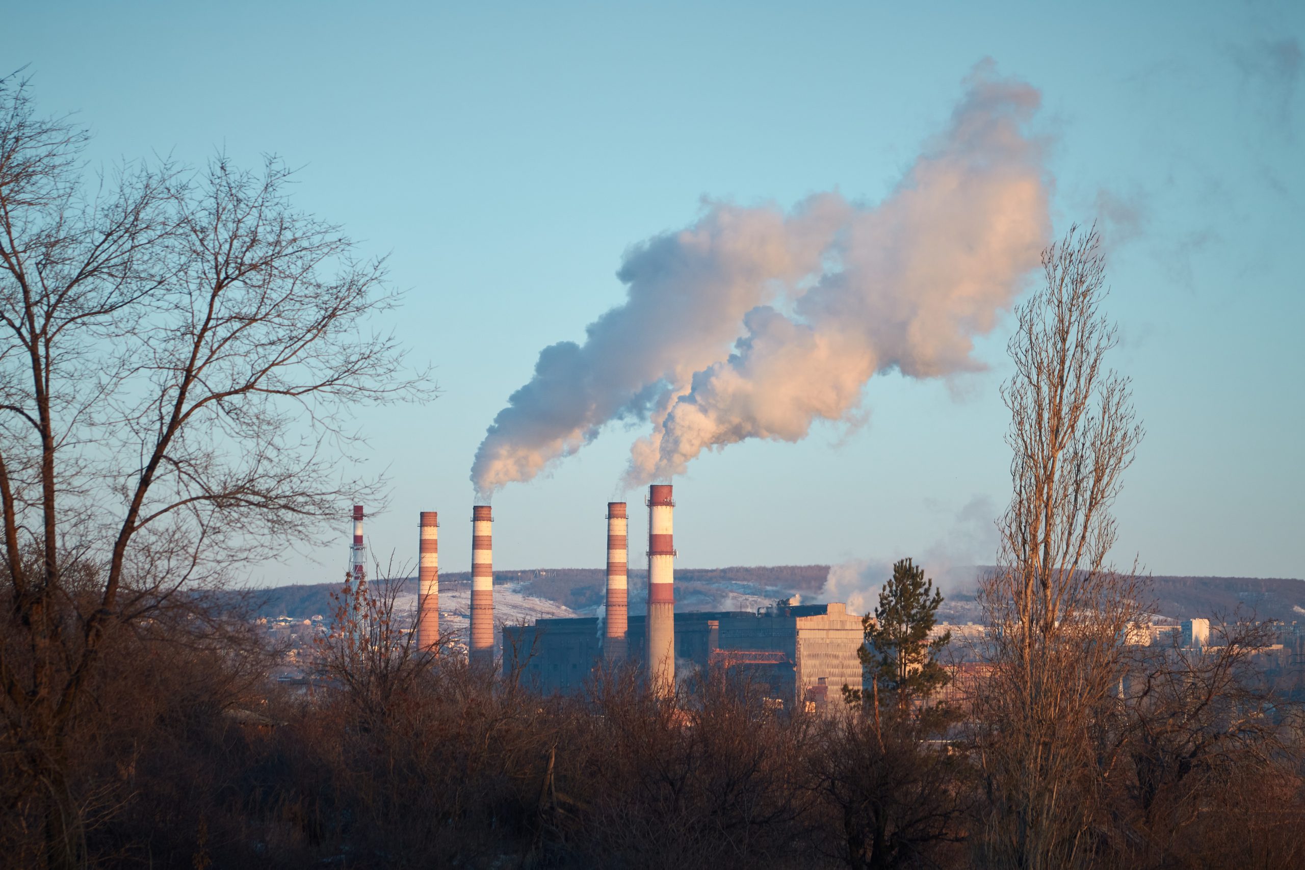 AA-magazine-AM-article-Education in the Anthropocene - featured image