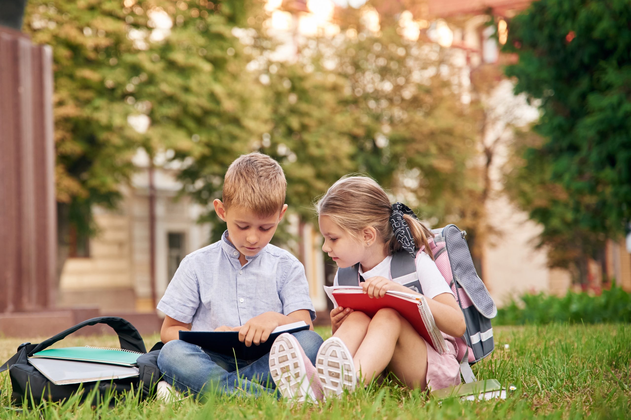 AM-article-Books or Bytes: Which Is Greener for Our Planet? - featured image