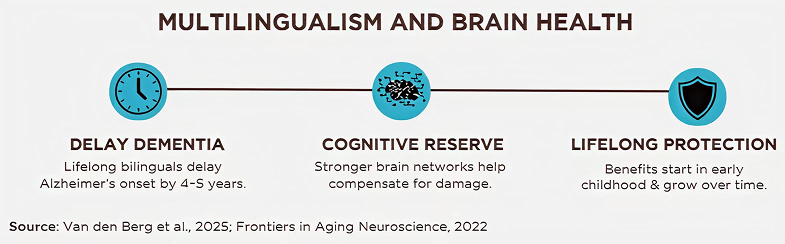 AA-Magazine-AM-article-Beyond Bilingualism: The Science-Backed Benefits of Speaking More Than One language - body image 2