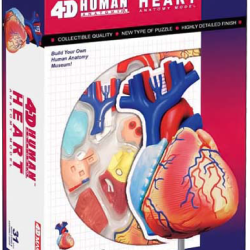 626004-Heart-PKG-1-e1740707821465 626004-Heart-PKG-1-e1740707821465