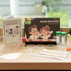 DIY Microbiology Lab – Algae Explorer