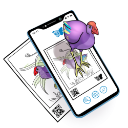 Quiver-Education-Subscription-1 Quiver-Education-Subscription-1