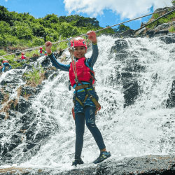 dragon fly – Outdoor Adventure Programs dragon fly - Outdoor Adventure Programs