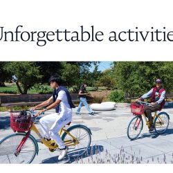 Immerse Education – Academic Enrichment Programmes for AISL Mall - unforgettable activities